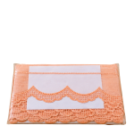 Premium Pastel Organza Cutwork Lace – 2.5 Inch Embroidered Border