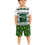 Boys 14 August Independence Day T-Shirt & Shorts Set – Green & White